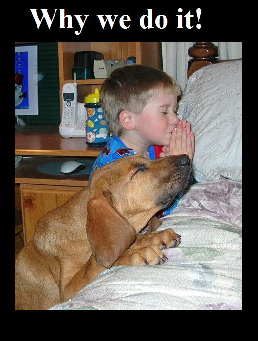 Prayer 530x.png